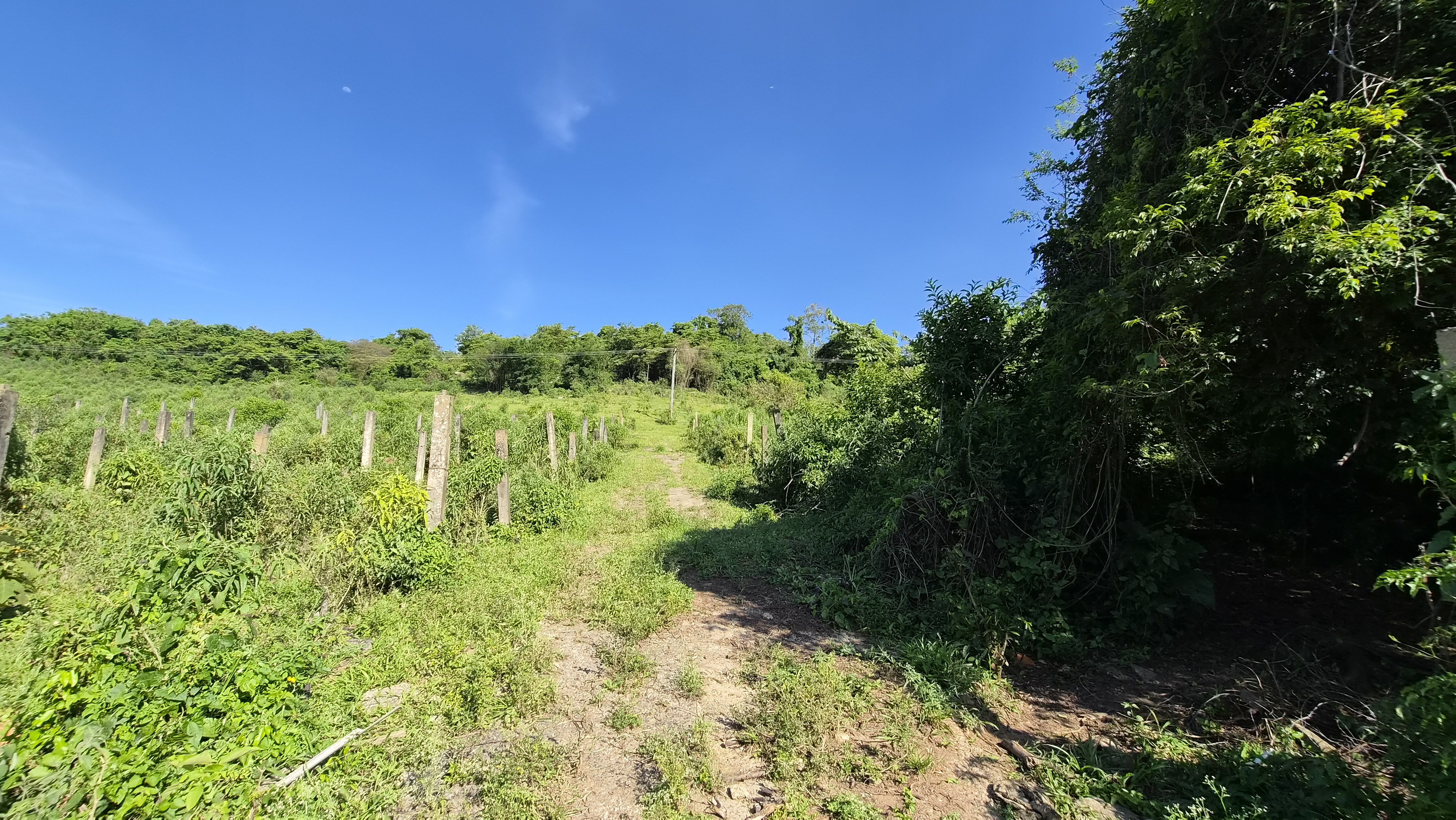 Rural à Venda, 145.585,00 m² - Foto 2