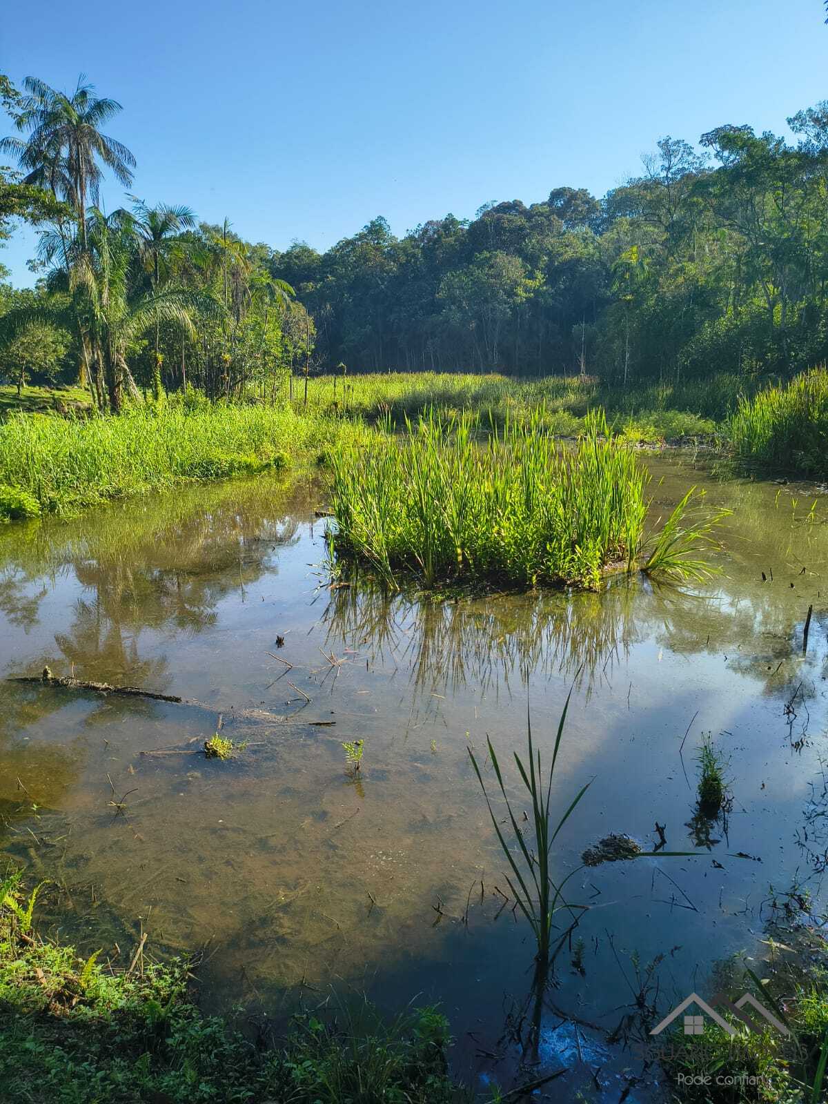 Rural à Venda, 84.700,00 m² - Foto 66