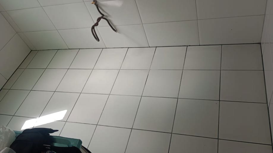 Apartamento com 2 Quartos à Venda - Foto 6