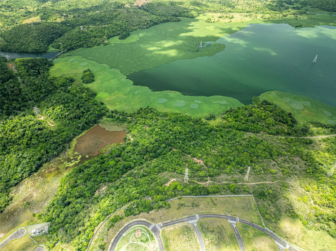 Terreno à Venda, 275,00 m² - Foto 2