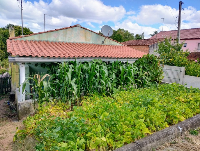Casa com 1 Quarto à Venda, 96,00 m² - Foto 10