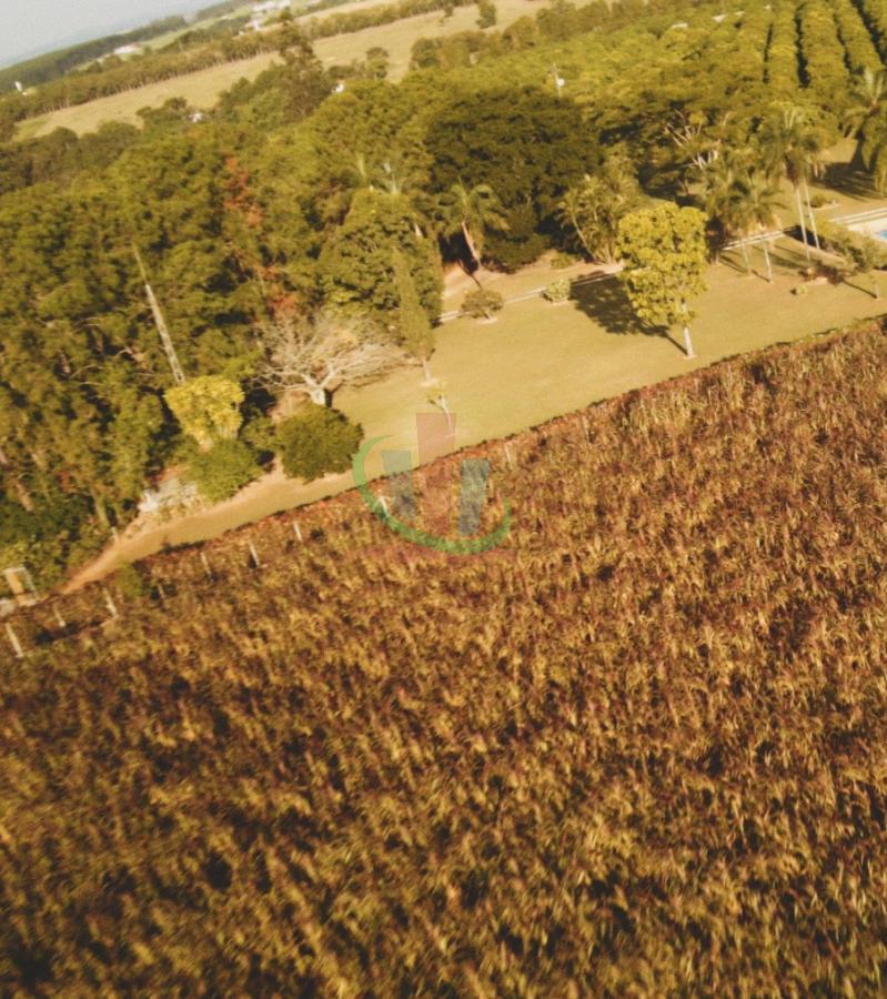 Rural com 4 Quartos à Venda, 241.000,00 m² - Foto 25