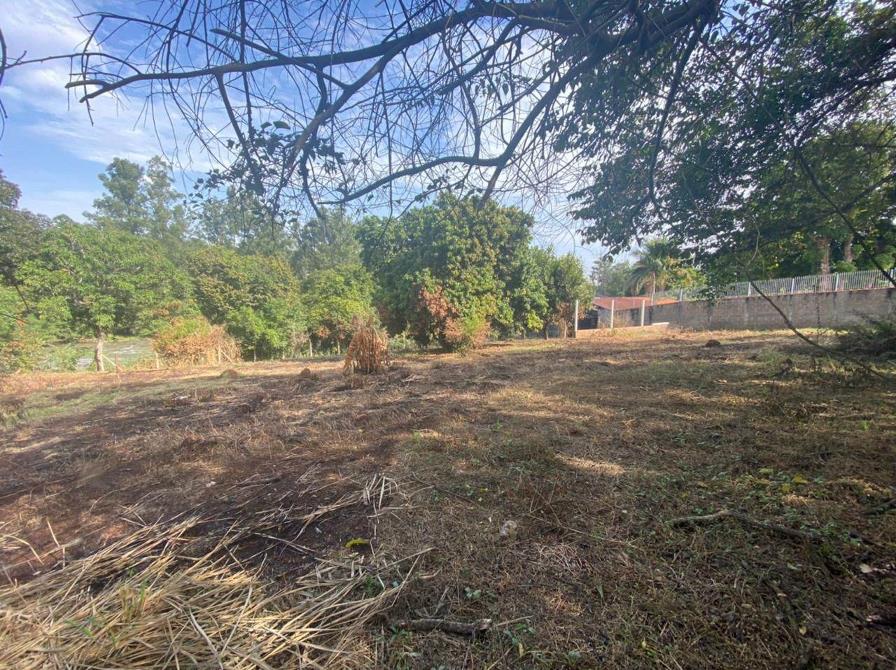 Rural à Venda, 2.556,00 m² - Foto 4