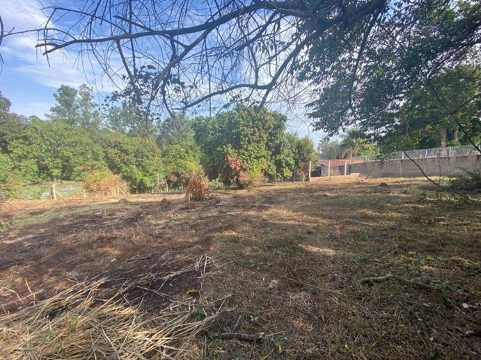 Rural à Venda, 2.556,00 m² - Foto 3