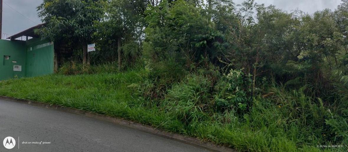Terreno à Venda, 1.000,00 m² - Foto 3