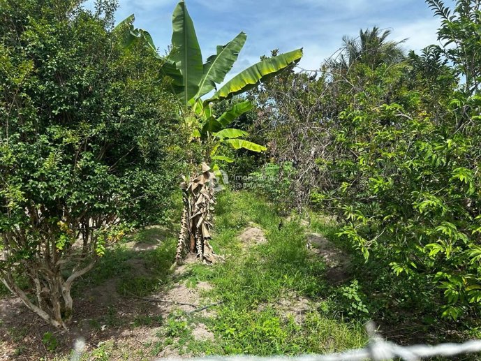 Rural com 7 Quartos à Venda - Foto 7