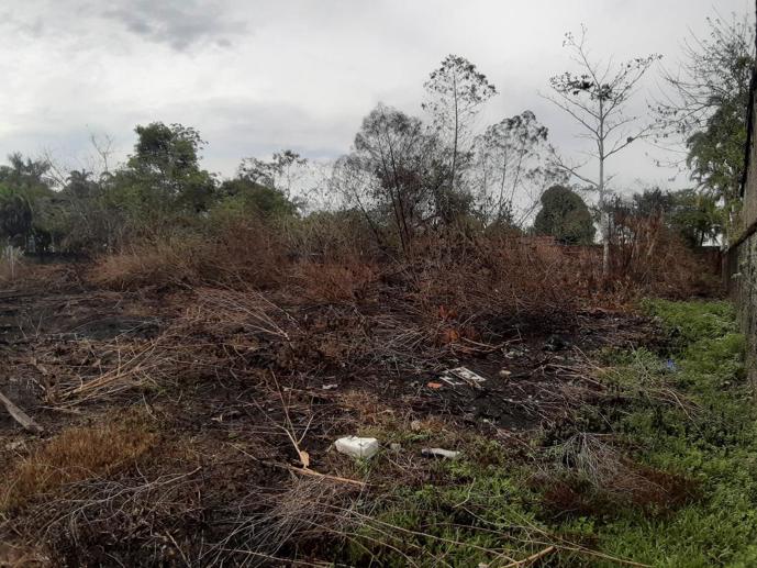 Terreno à Venda, 2.000,00 m² - Foto 7