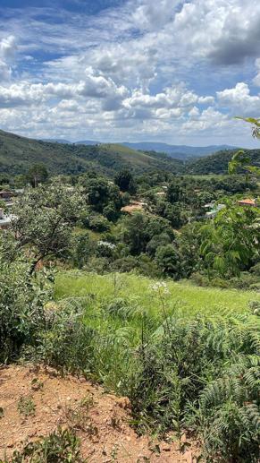 Terreno à Venda, 1.175,00 m² - Foto 6