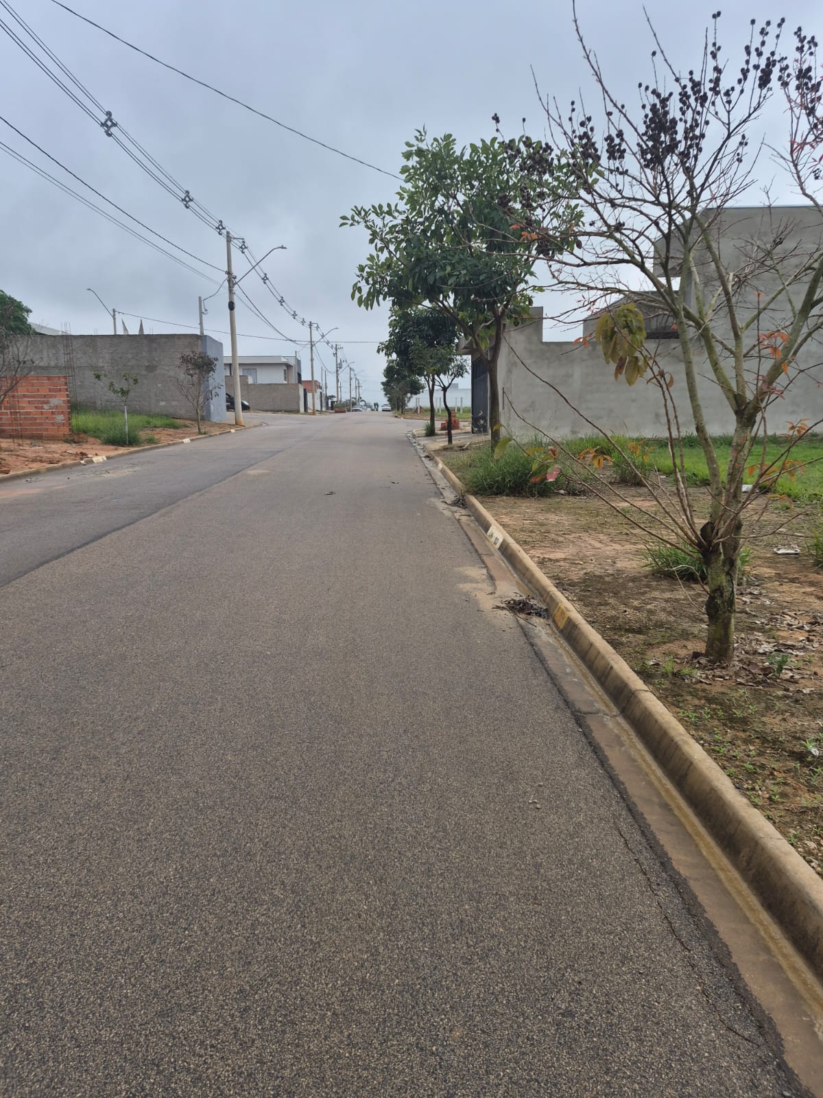 Terreno à Venda, 232,48 m² - Foto 1