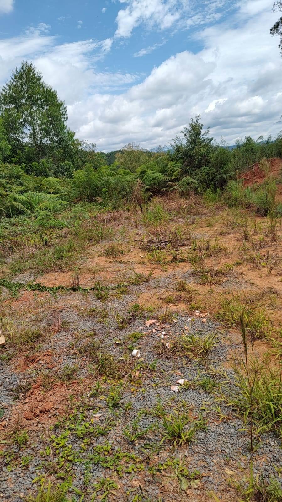 Rural com 2 Quartos à Venda, 6.487,37 m² - Foto 17