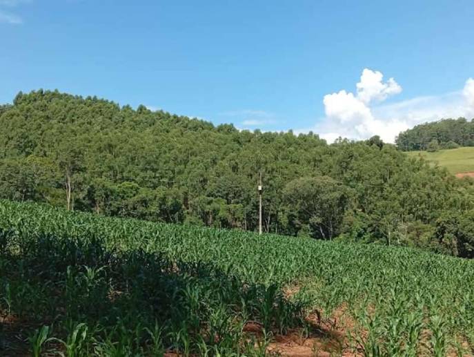 Rural à Venda, 2,40 m² - Foto 2