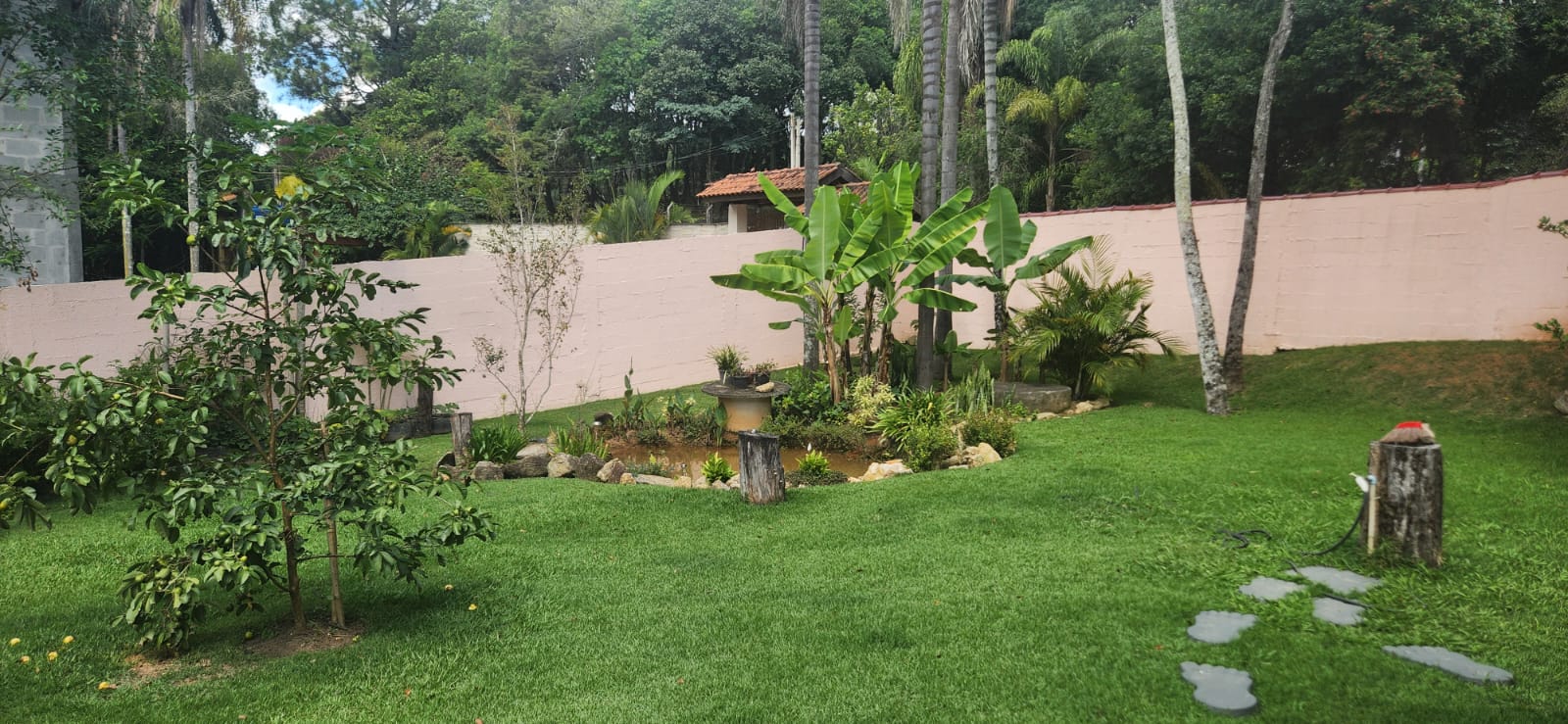 Rural com 3 Quartos à Venda, 2.730,00 m² - Foto 10