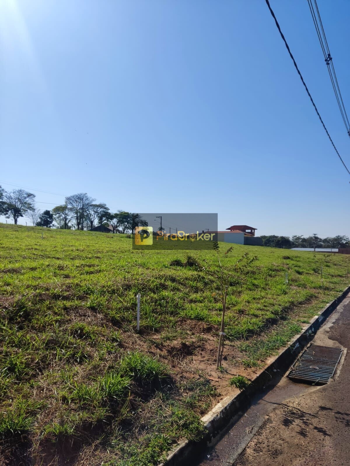 Terreno à Venda, 300,00 m² - Foto 11