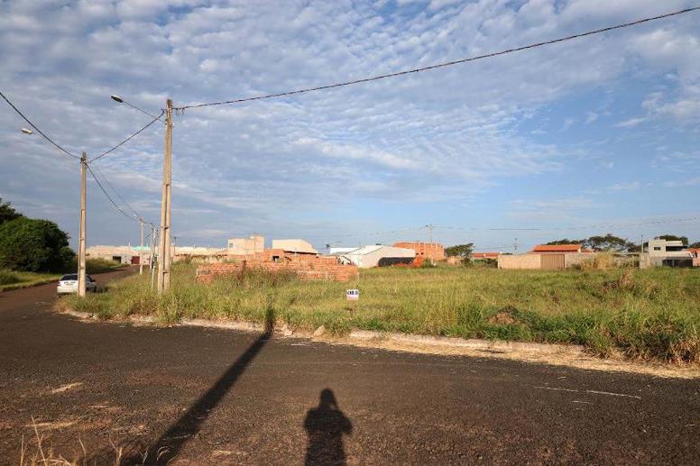 Terreno à Venda, 250,00 m² - Foto 2