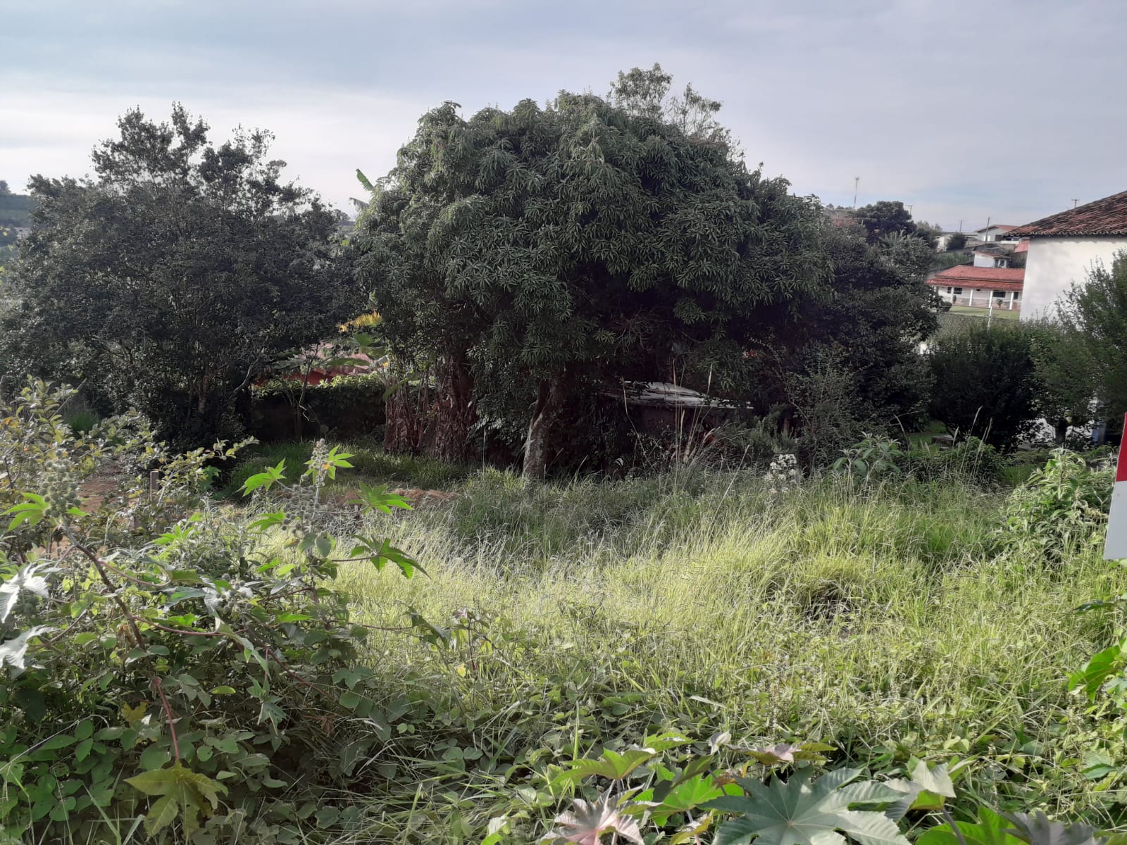 Terreno à Venda, 300,00 m² - Foto 15