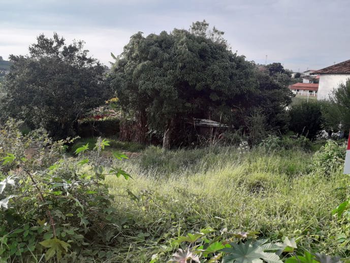 Terreno à Venda, 300,00 m² - Foto 15