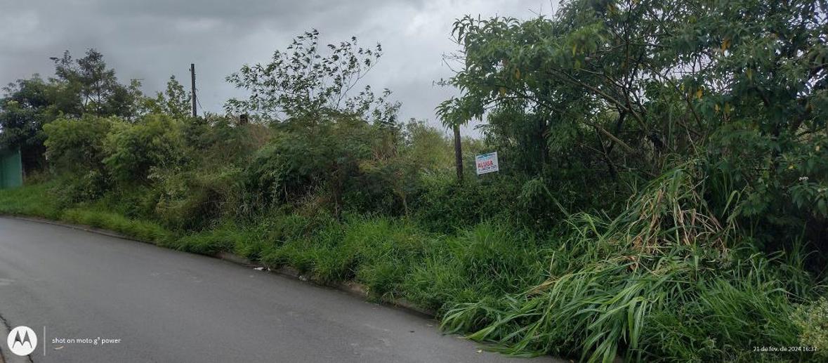 Terreno à Venda, 1.000,00 m² - Foto 1