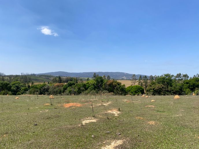 Terreno à Venda, 56.645,32 m² - Foto 4
