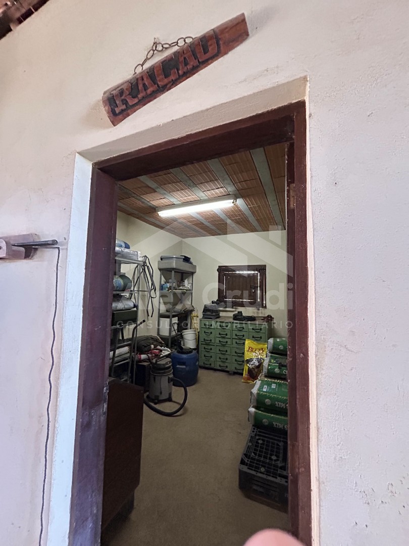 Rural com 8 Quartos à Venda, 242.000,00 m² - Foto 7