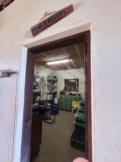 Rural com 8 Quartos à Venda, 242.000,00 m² - Foto 10