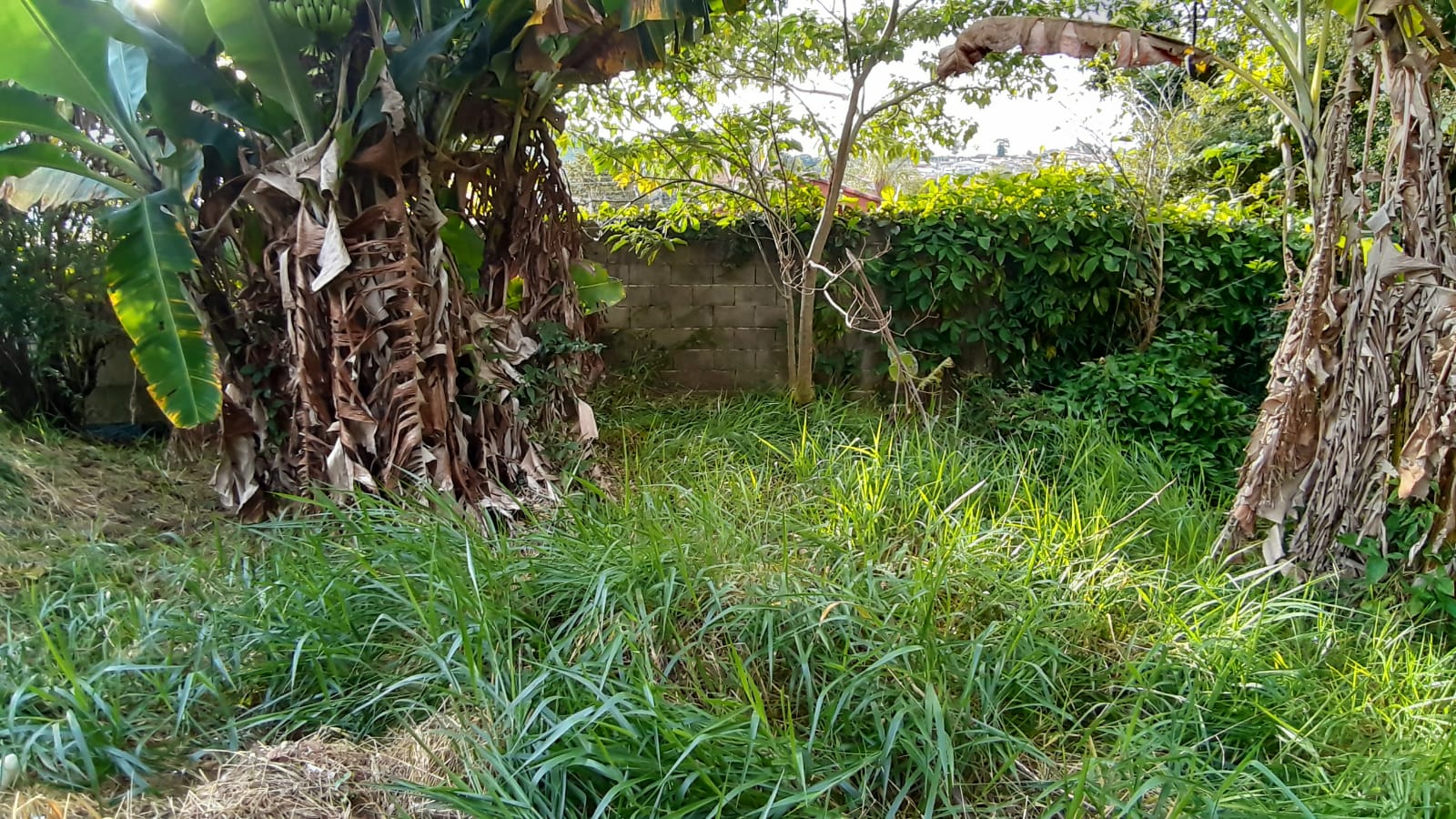 Terreno à Venda, 300,00 m² - Foto 4