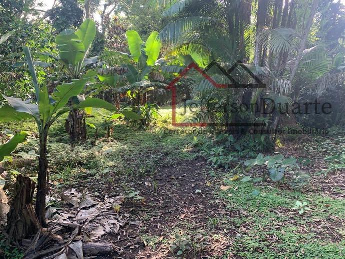 Rural com 1 Quarto à Venda, 2.500,00 m² - Foto 4