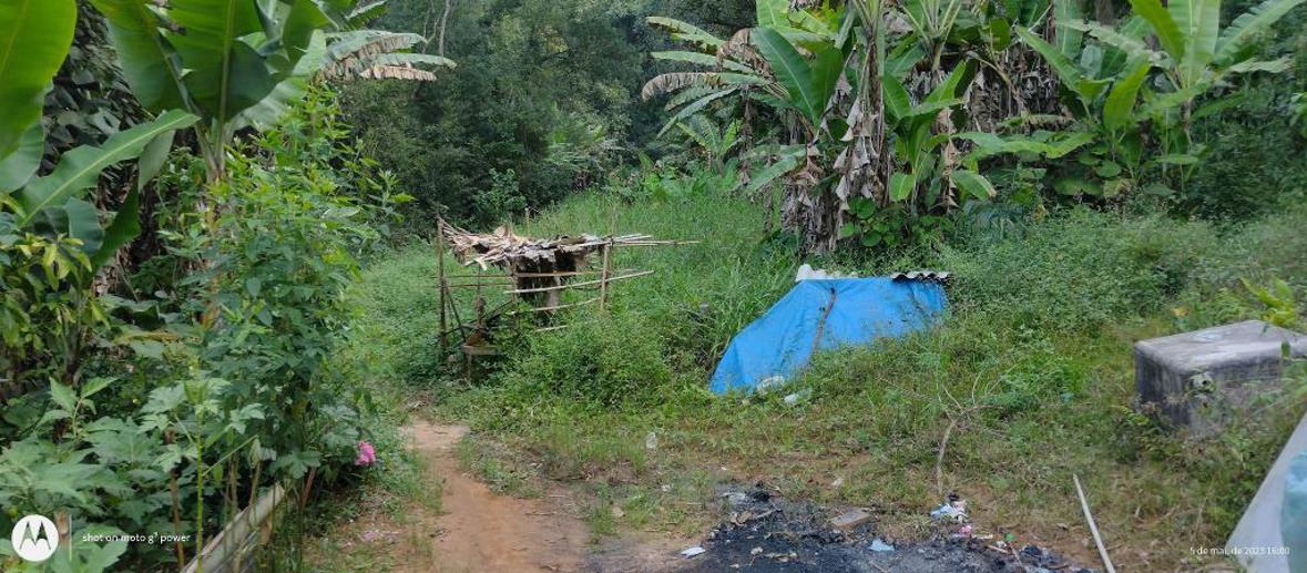 Terreno à Venda, 20.000,00 m² - Foto 4
