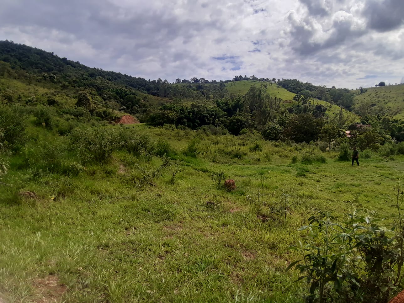 Rural com 3 Quartos à Venda, 314.600,00 m² - Foto 15