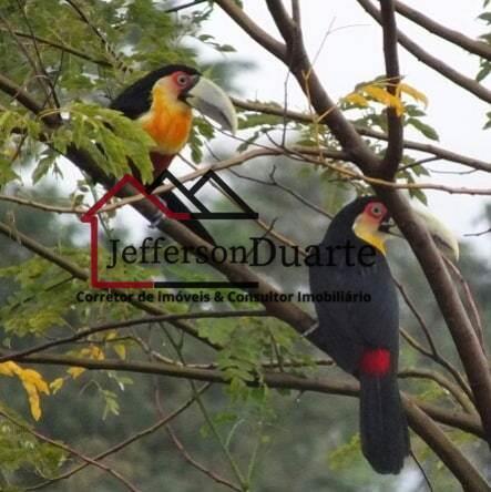 Comercial com 8 Quartos à Venda, 1.680,00 m² - Foto 18