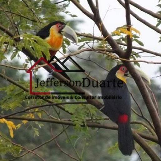 Comercial com 8 Quartos à Venda, 1.680,00 m² - Foto 18