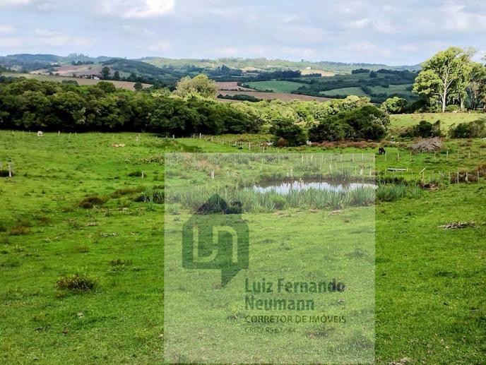 Rural com 3 Quartos à Venda, 197,00 m² - Foto 12