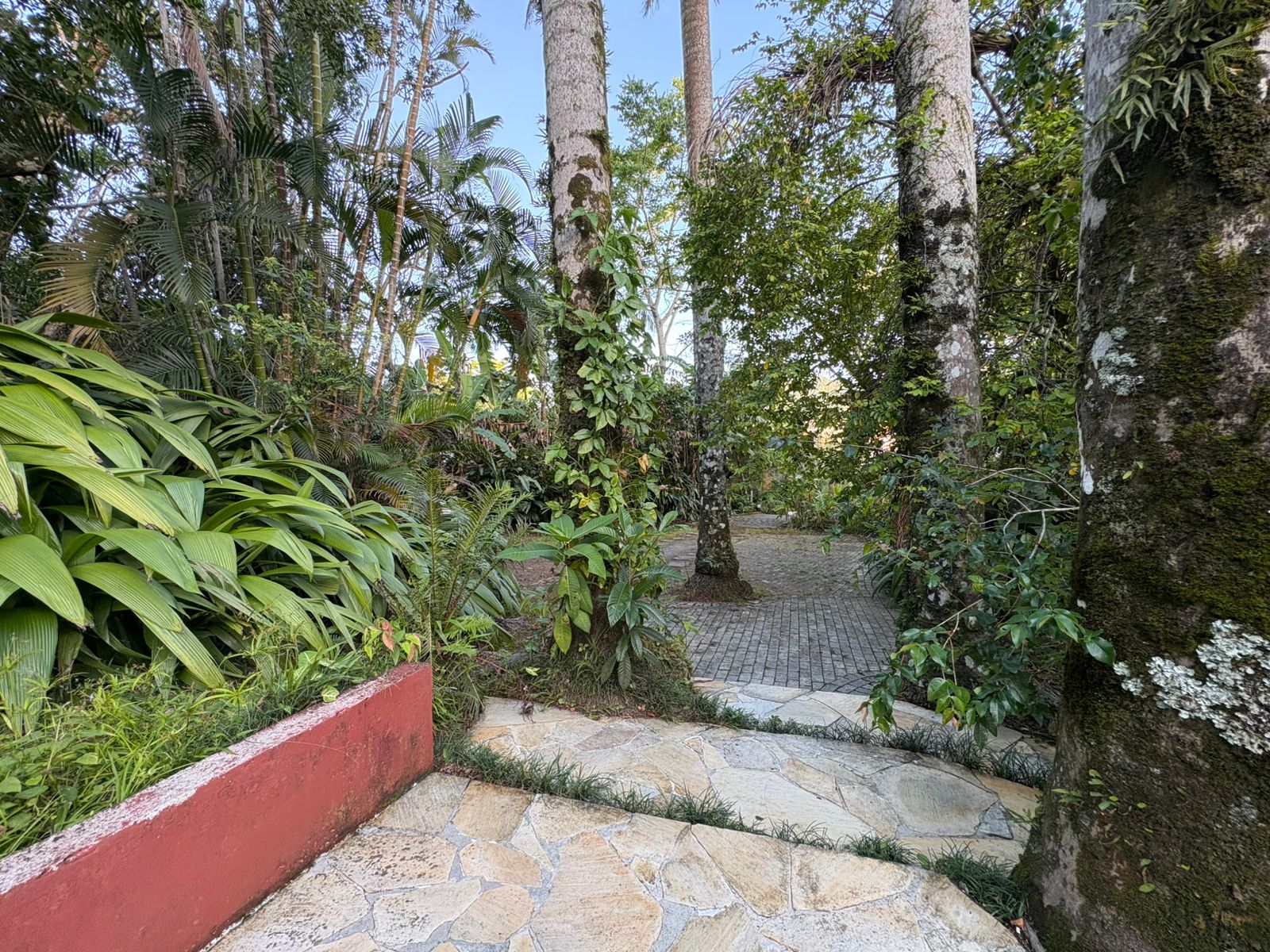 Casa com 3 Quartos para Temporada, 2.900,00 m² - Foto 40