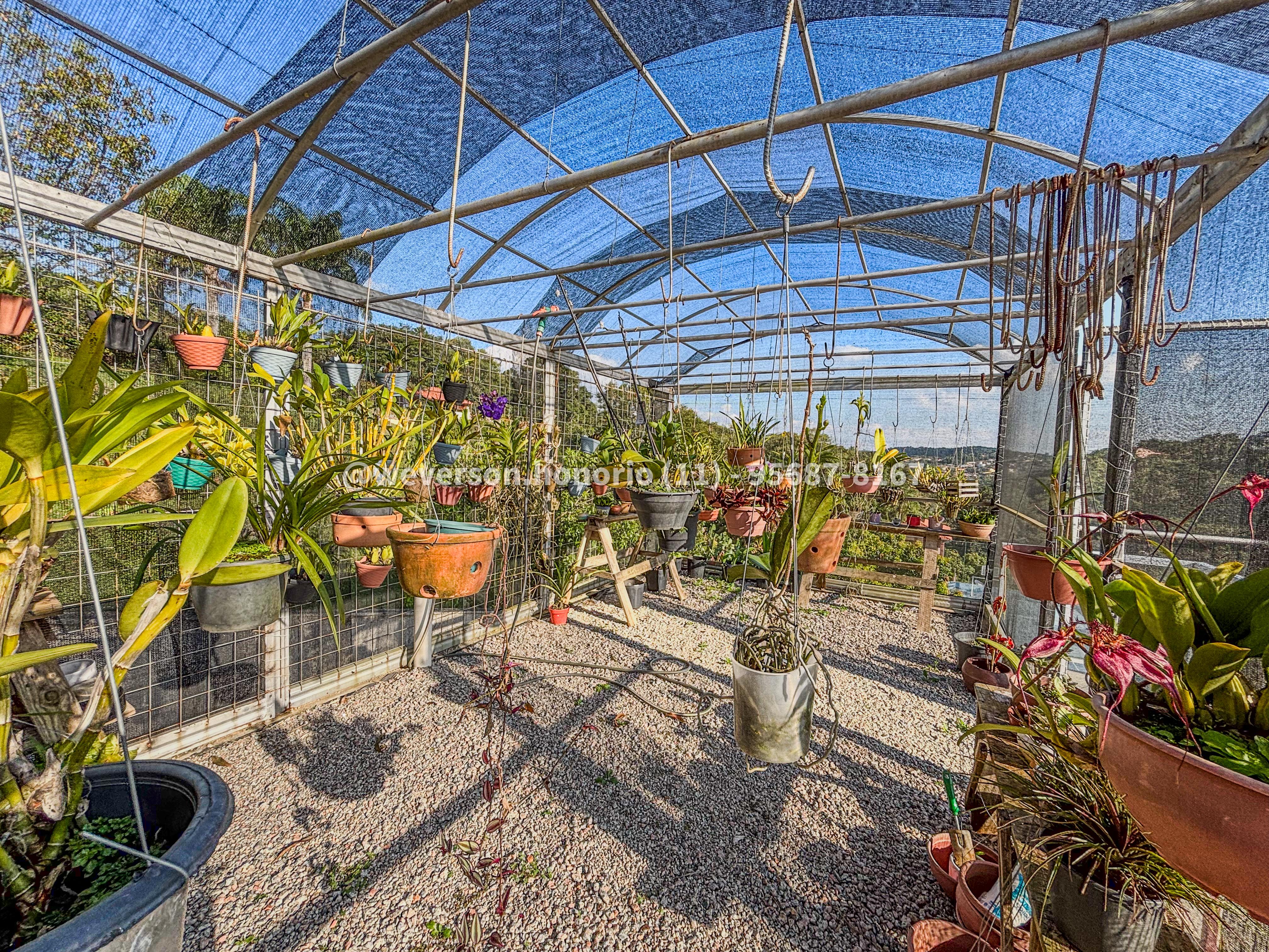 Casa com 8 Quartos à Venda, 8.000,00 m² - Foto 50