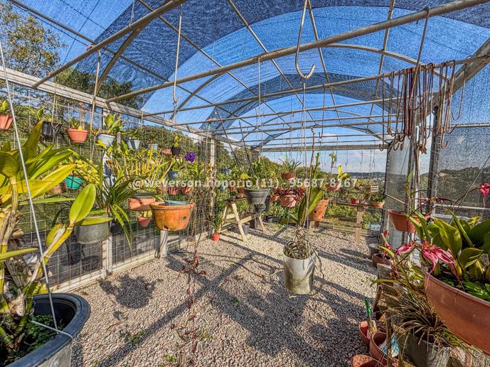 Casa com 8 Quartos à Venda, 8.000,00 m² - Foto 50