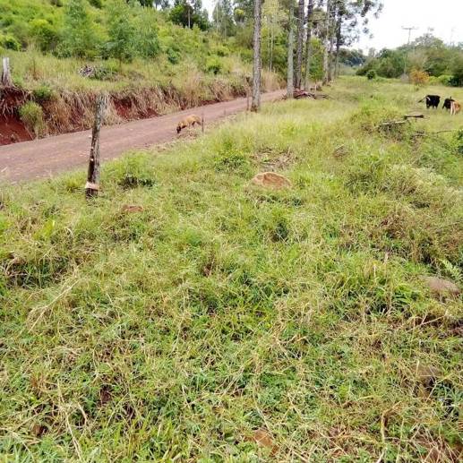 Rural à Venda, 2.375,00 m² - Foto 7
