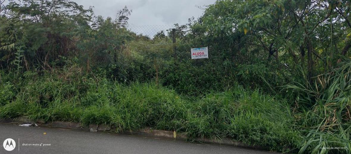 Terreno à Venda, 1.000,00 m² - Foto 2