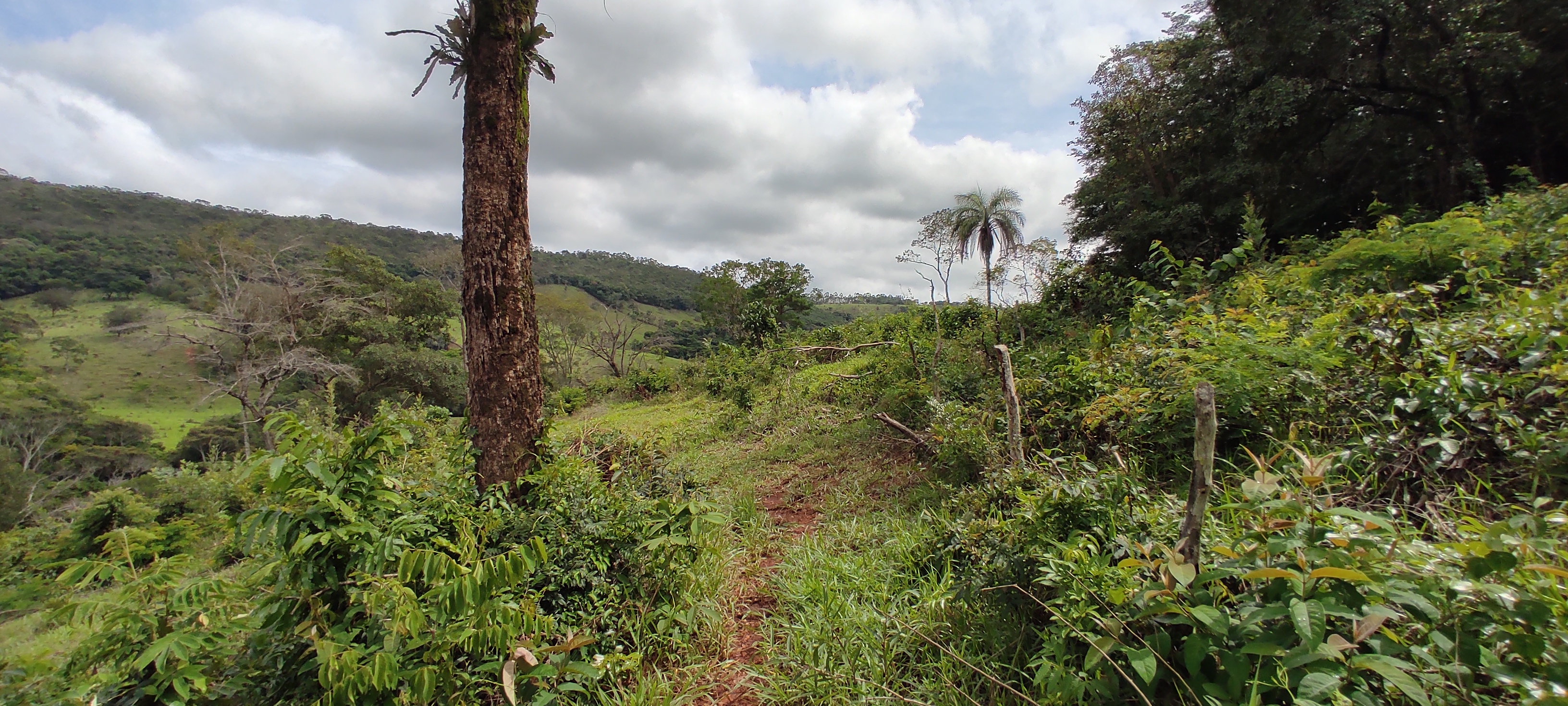 Rural à Venda, 66.000,00 m² - Foto 2