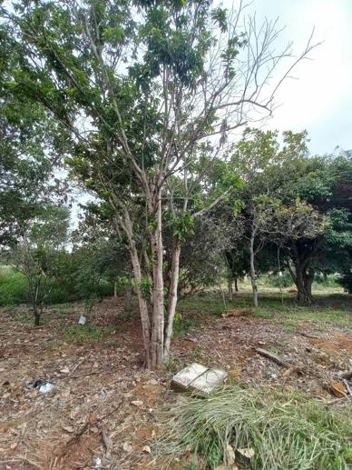 Casa com 2 Quartos à Venda, 1.920,00 m² - Foto 23