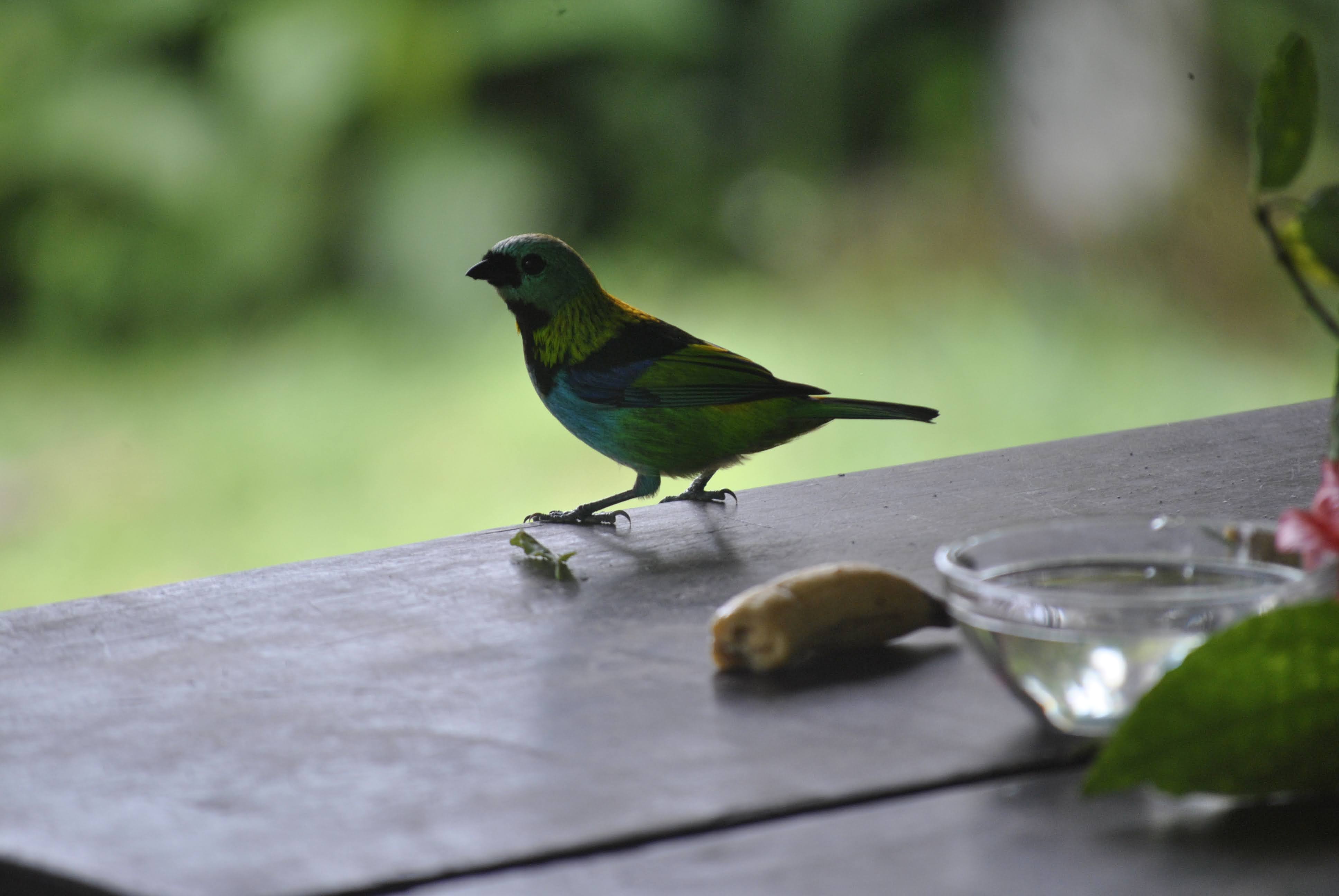 Casa com 2 Quartos para Temporada, 3.000,00 m² - Foto 15