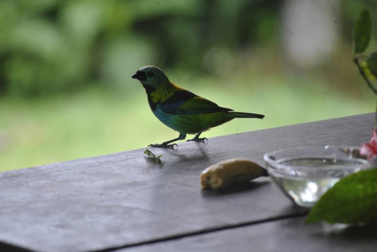 Casa com 2 Quartos para Temporada, 3.000,00 m² - Foto 18