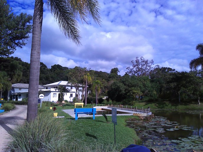 Rural com 3 Quartos à Venda, 1.237,22 m² - Foto 111