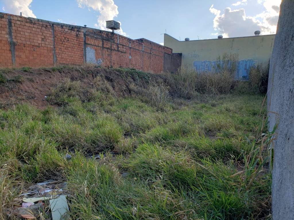 Terreno à Venda - Foto 13