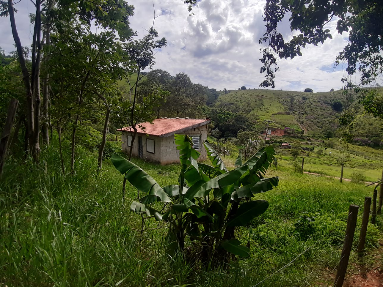 Rural com 3 Quartos à Venda, 314.600,00 m² - Foto 12