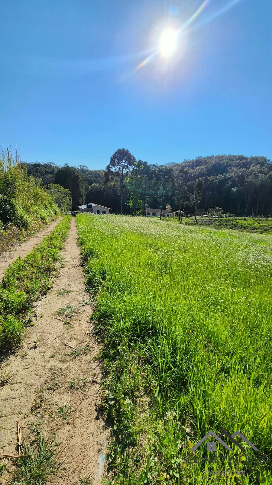Rural à Venda, 24.200,00 m² - Foto 1