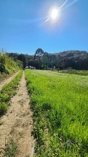 Rural à Venda, 24.200,00 m² - Foto 1