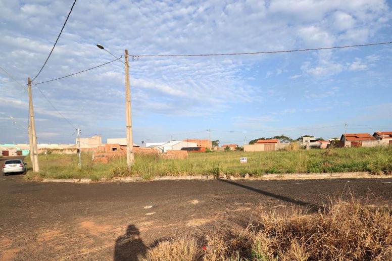 Terreno à Venda, 250,00 m² - Foto 3