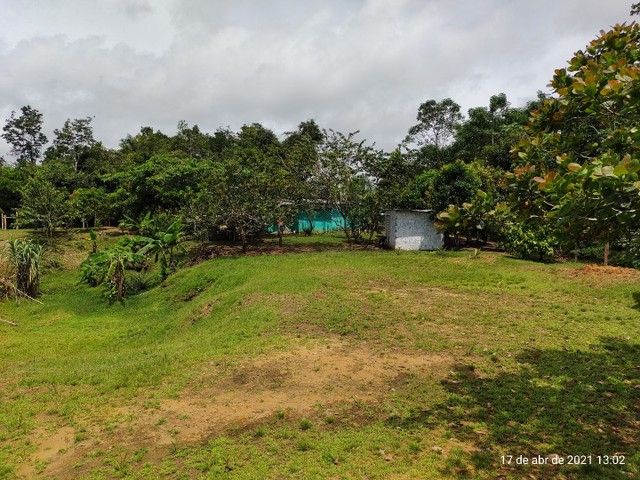 Terreno à Venda, 16.000,00 m² - Foto 6