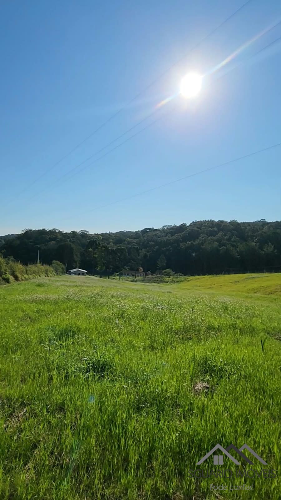 Rural à Venda, 24.200,00 m² - Foto 7