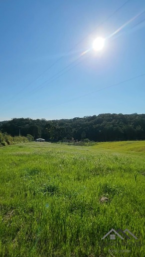 Rural à Venda, 24.200,00 m² - Foto 7