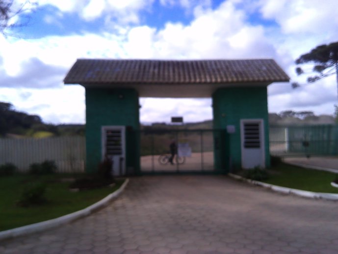 Rural com 3 Quartos à Venda, 1.237,22 m² - Foto 5